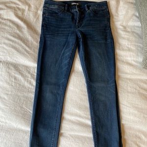 Express Skinny Jean